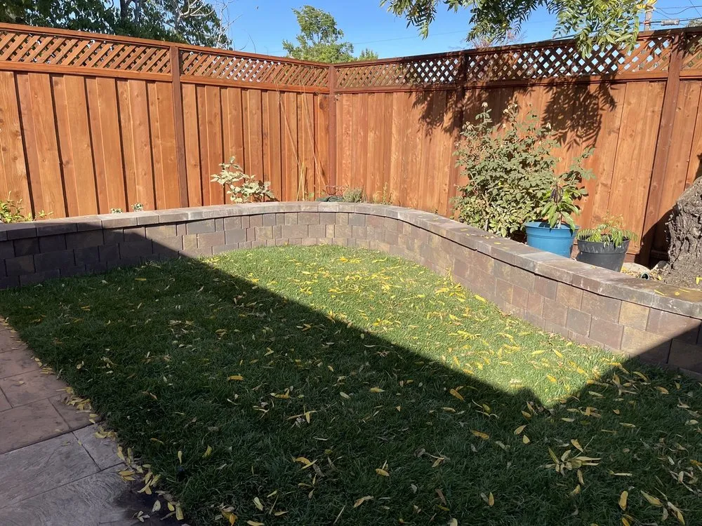 Top-rated yard cleanup service experts serving Saratoga, CA - Jesse's General Landscaping