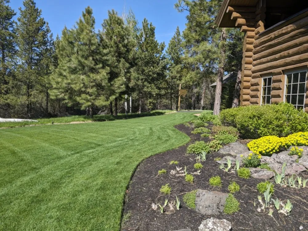 Top-rated lawn care service for beautiful yards in La Pine, OR by Jesse's Green Thumb