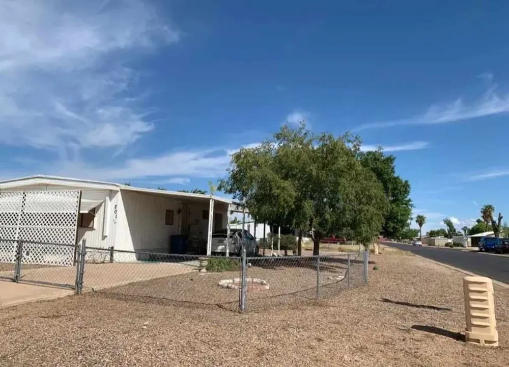 Custom yard maintenance experts serving Mesa, AZ - Jesses Landscape