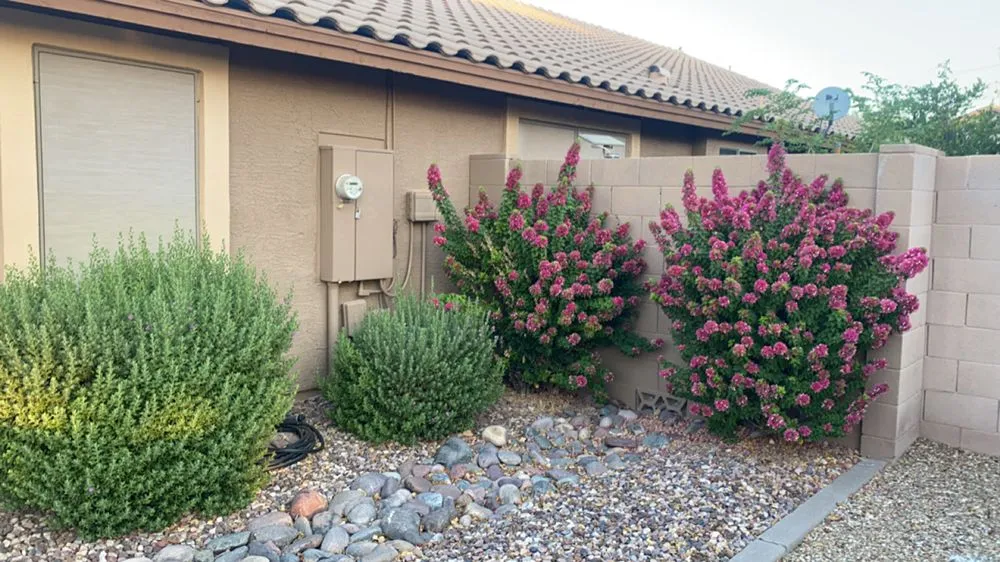 Expert outdoor landscaping in Mesa, AZ - Jesses Landscape