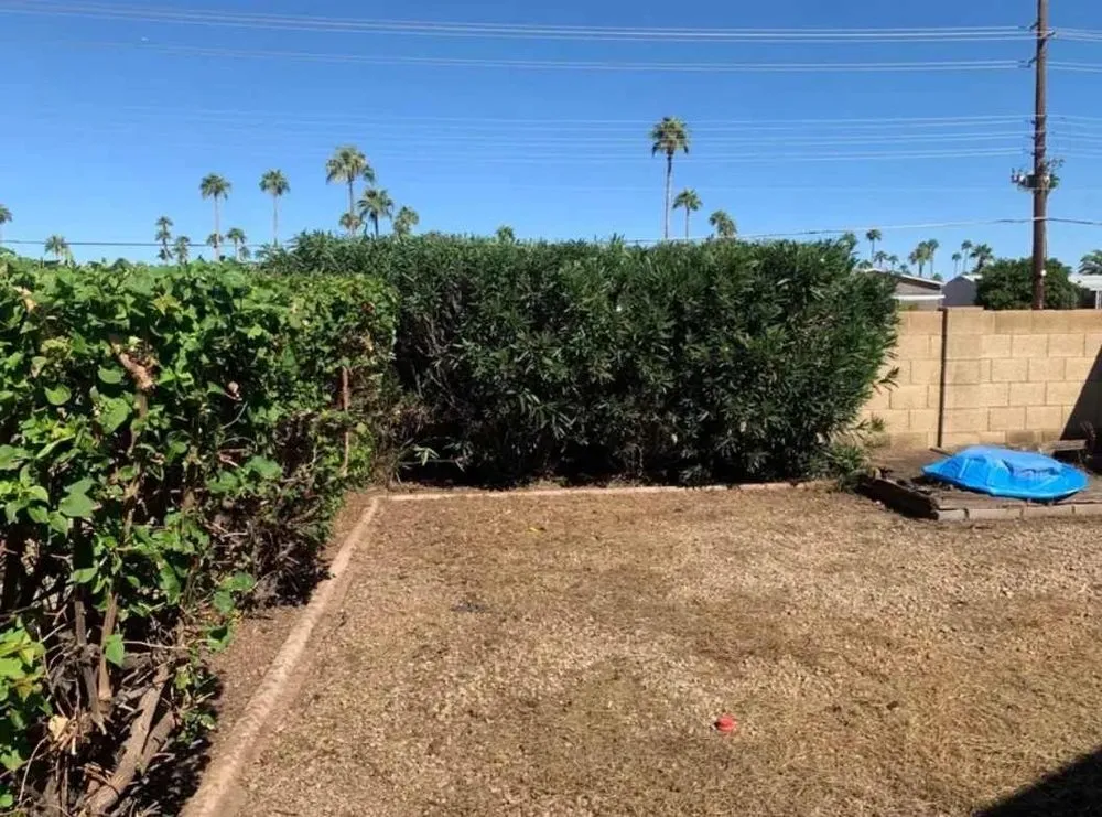 Trusted outdoor landscaping in Mesa, AZ by Jesses Landscape