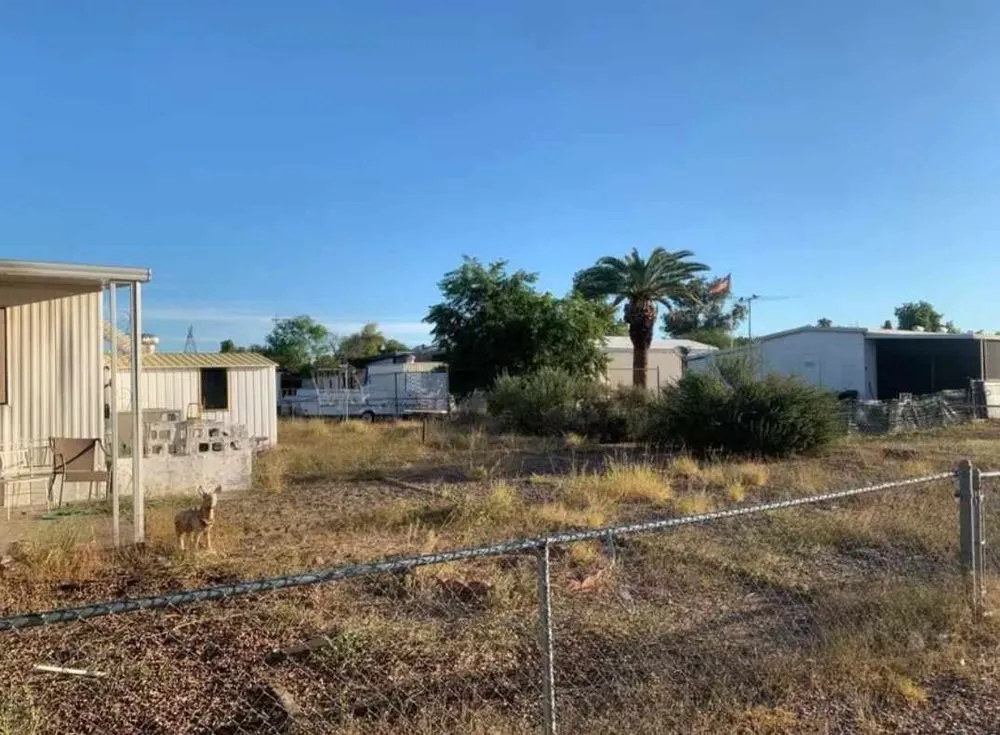 Local lawn care service for year-round maintenance in Mesa, AZ by Jesses Landscape