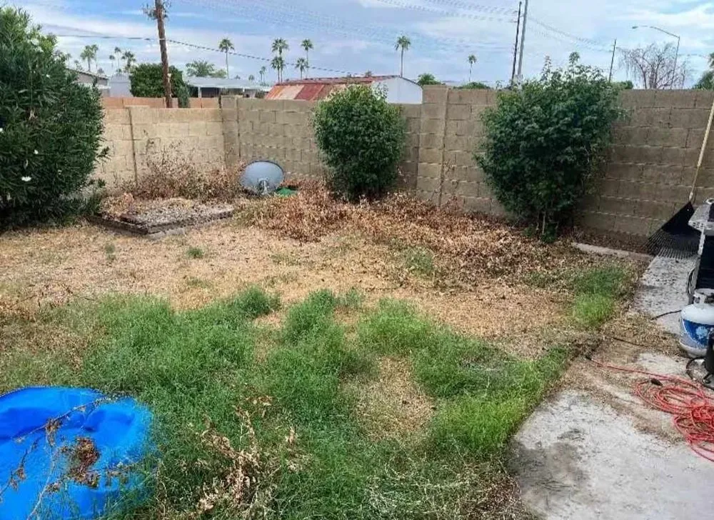 Custom yard maintenance for beautiful yards in Mesa, AZ by Jesses Landscape