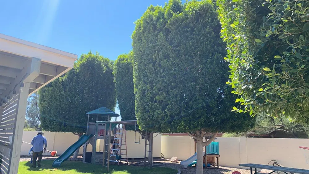 Trusted outdoor landscaping experts serving Mesa, AZ - Jesses Landscape