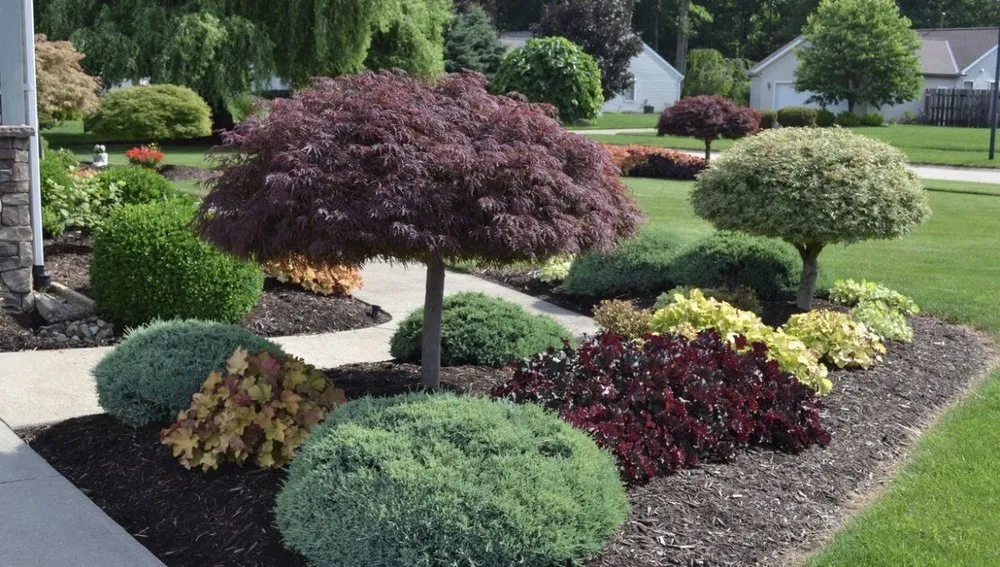 Custom lawn care service for outdoor upgrades across Ontario, CA - Jesse’s Landscaping services