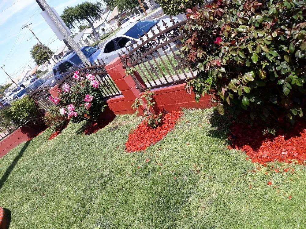 Custom lawn care service experts serving Wilmington, CA - Jesse's Landscaping