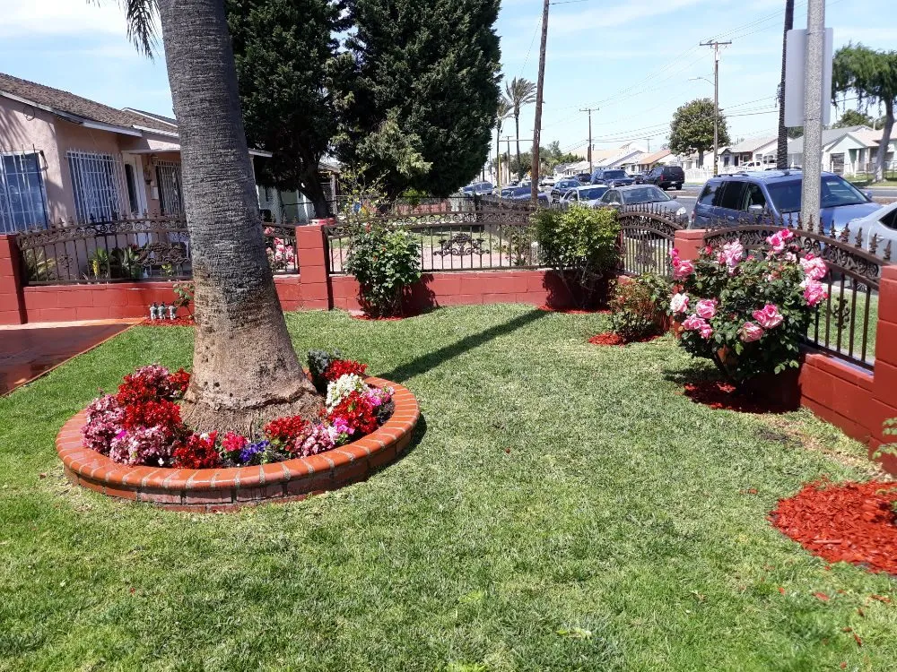 Expert lawn mowing service in Wilmington, CA by Jesse's Landscaping