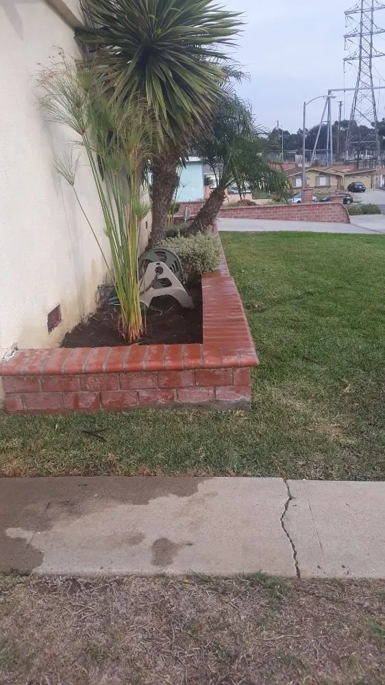 Custom outdoor landscaping in Wilmington, CA - Jesse's Landscaping