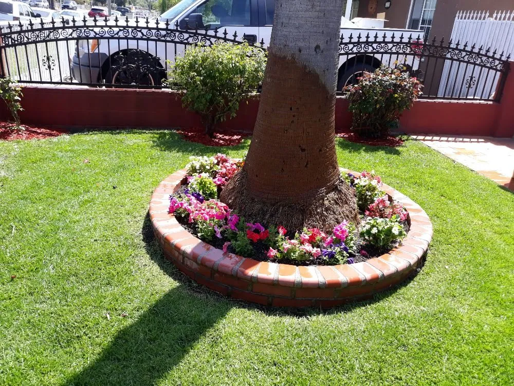 Professional lawn mowing service for beautiful yards in Wilmington, CA by Jesse's Landscaping
