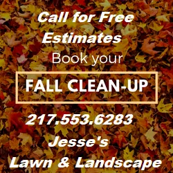 Custom lawn mowing service for year-round maintenance across Southern View, IL - Jesse's Lawn & Landscape