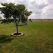 Expert yard maintenance in Southern View, IL - Jesse's Lawn & Landscape