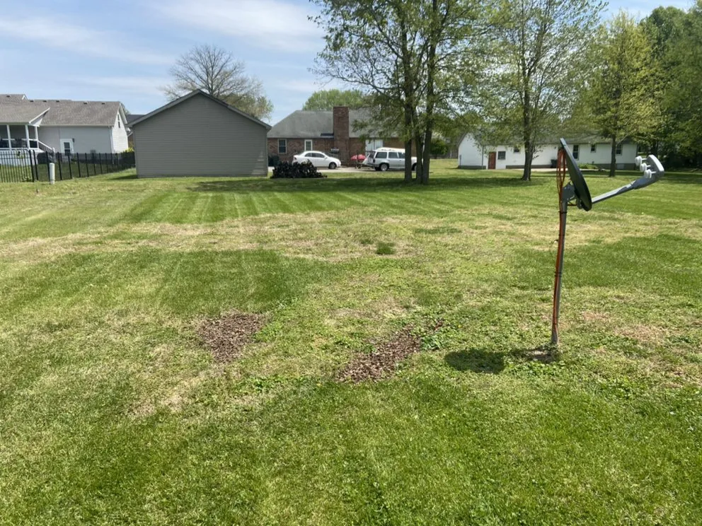 Expert lawn care service for residential properties in Lebanon, TN by Jesse’s Lawn Care
