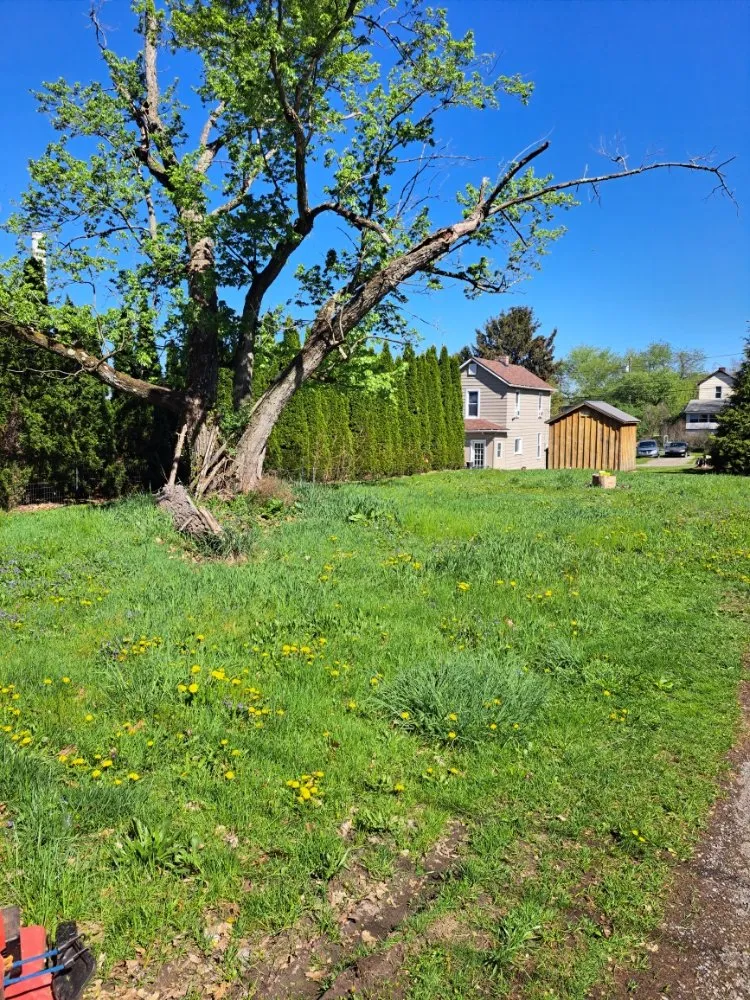 Affordable yard cleanup service in New Castle, PA - Jesse's Lawn Care