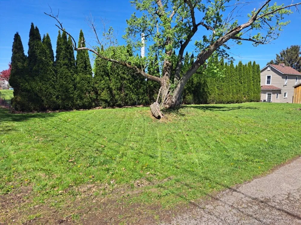 Local residential landscaping for outdoor upgrades in New Castle, PA by Jesse's Lawn Care