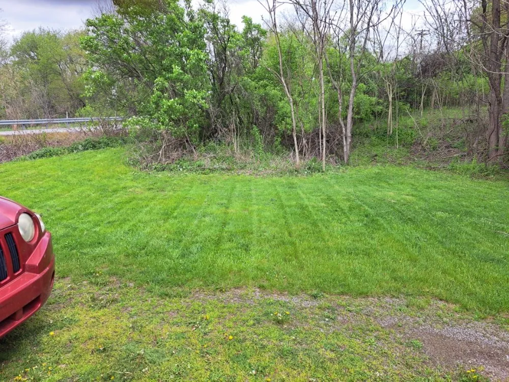 Trusted yard cleanup service for beautiful yards in New Castle, PA by Jesse's Lawn Care
