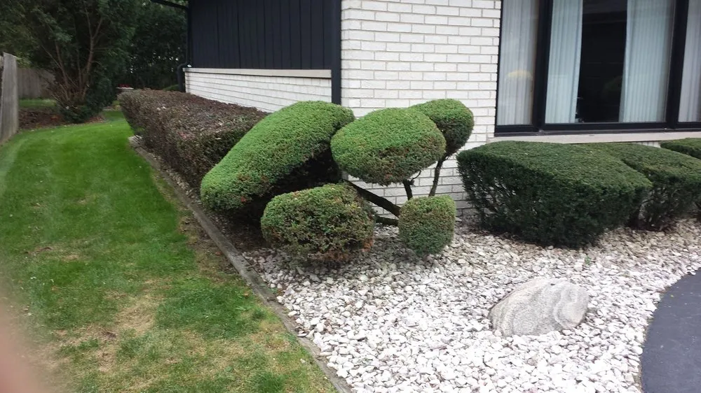 Trusted yard cleanup service in Park Forest, IL by Jesse's Lawn Care Service