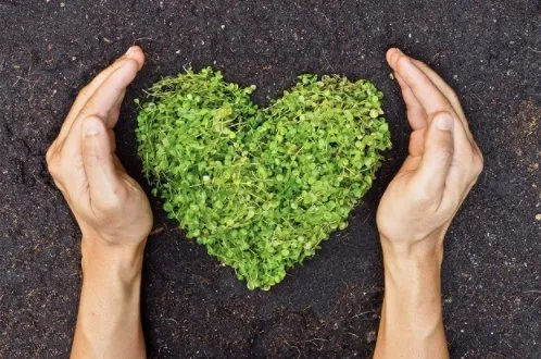 Professional lawn mowing service experts serving Fayetteville, GA - Jesse's Lawn Service