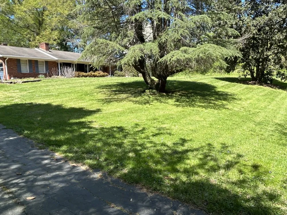 Top-rated landscaping services experts serving Mount Airy, NC - Jesses Lawn Services