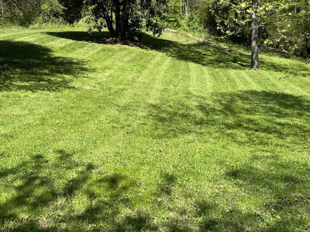Trusted outdoor landscaping in Mount Airy, NC - Jesses Lawn Services