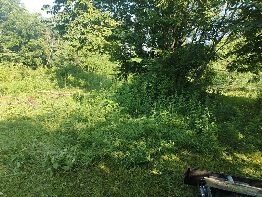 Local residential landscaping experts serving Nashville, TN - Jesse's RC Steep Slope Mowing