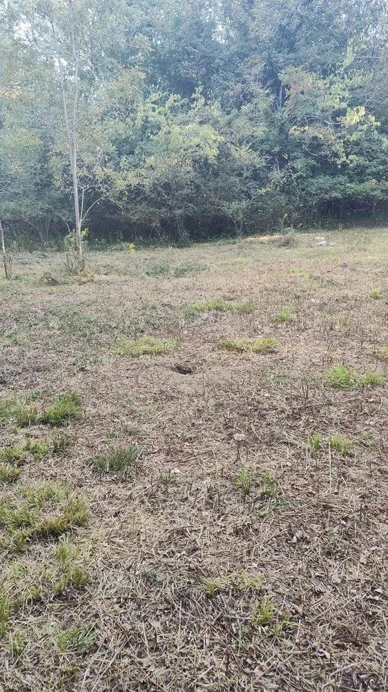 Trusted landscape design for homes in Nashville, TN by Jesse's RC Steep Slope Mowing