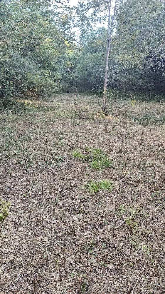 Affordable yard cleanup service for year-round maintenance in Nashville, TN by Jesse's RC Steep Slope Mowing