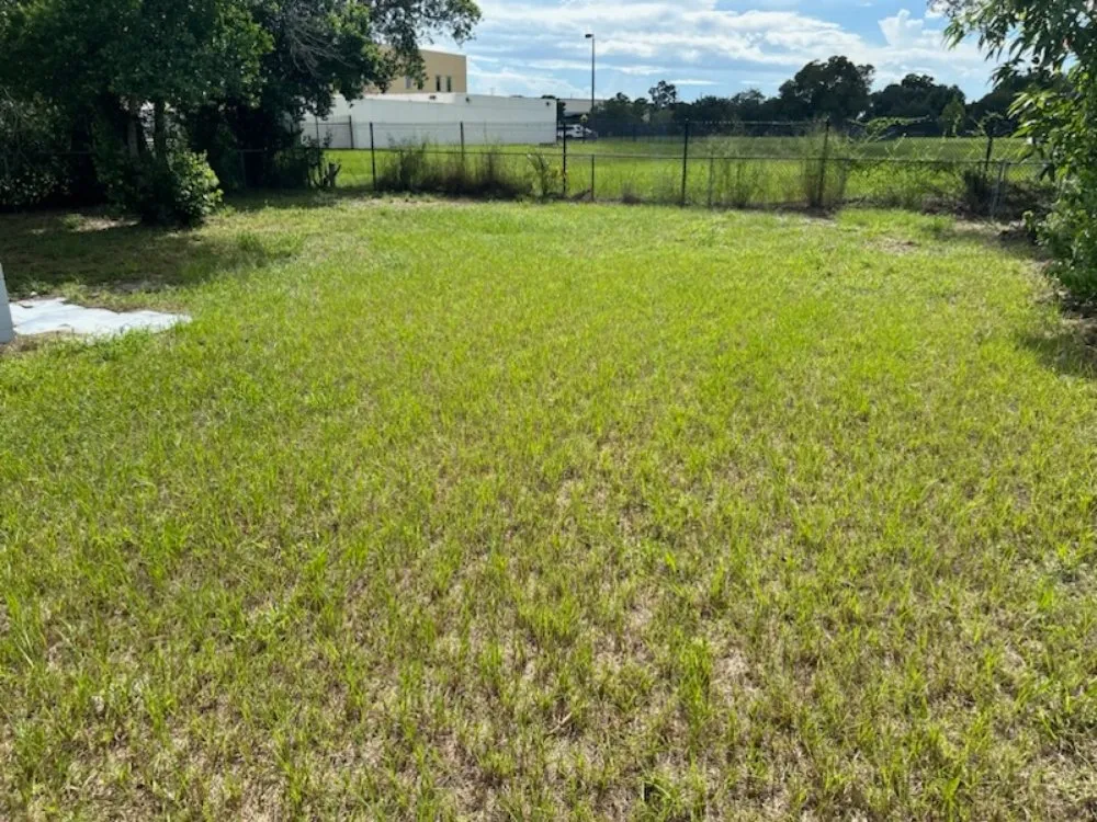 Trusted landscaping services for year-round maintenance across Orlando, FL - Jessica's Cut Above