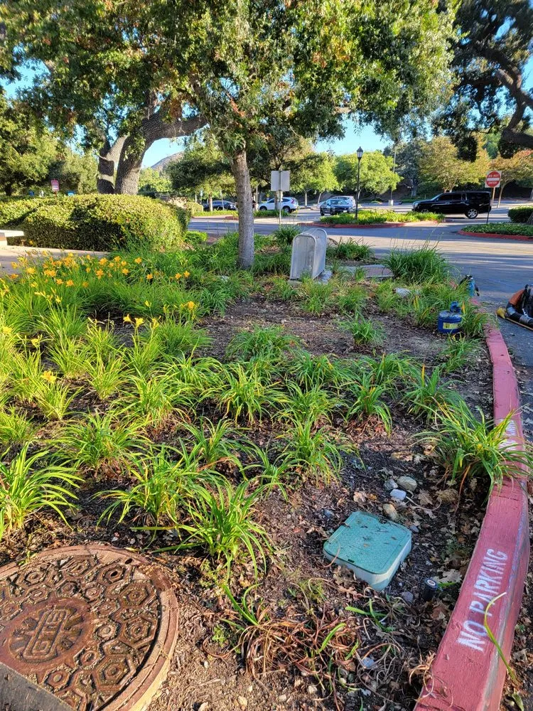 Reliable lawn care service with custom design in Thousand Oaks, CA by Jessie Flores Landscape