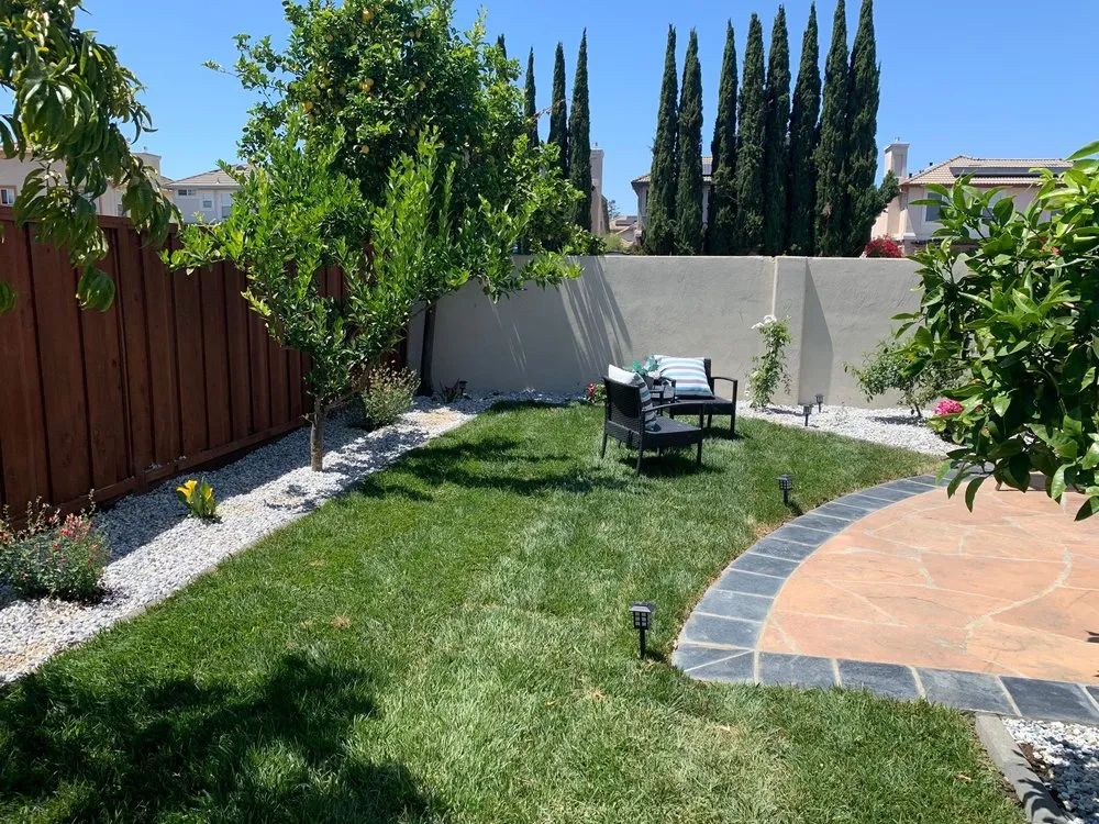 Reliable yard cleanup service in Fremont, CA - Jessie Landscaping & Maintenance