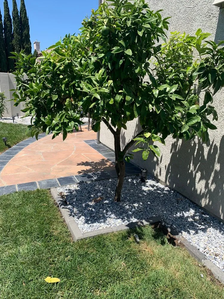 Custom garden landscaping for beautiful yards across Fremont, CA - Jessie Landscaping & Maintenance