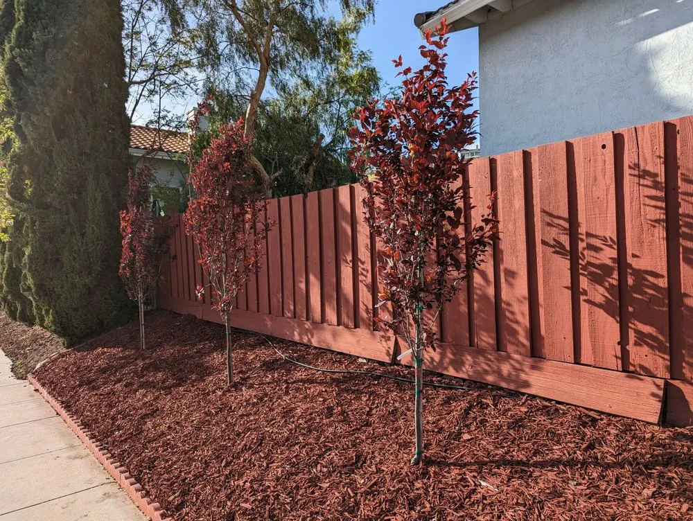 Expert landscape design for homes in Fremont, CA by Jessie Landscaping & Maintenance