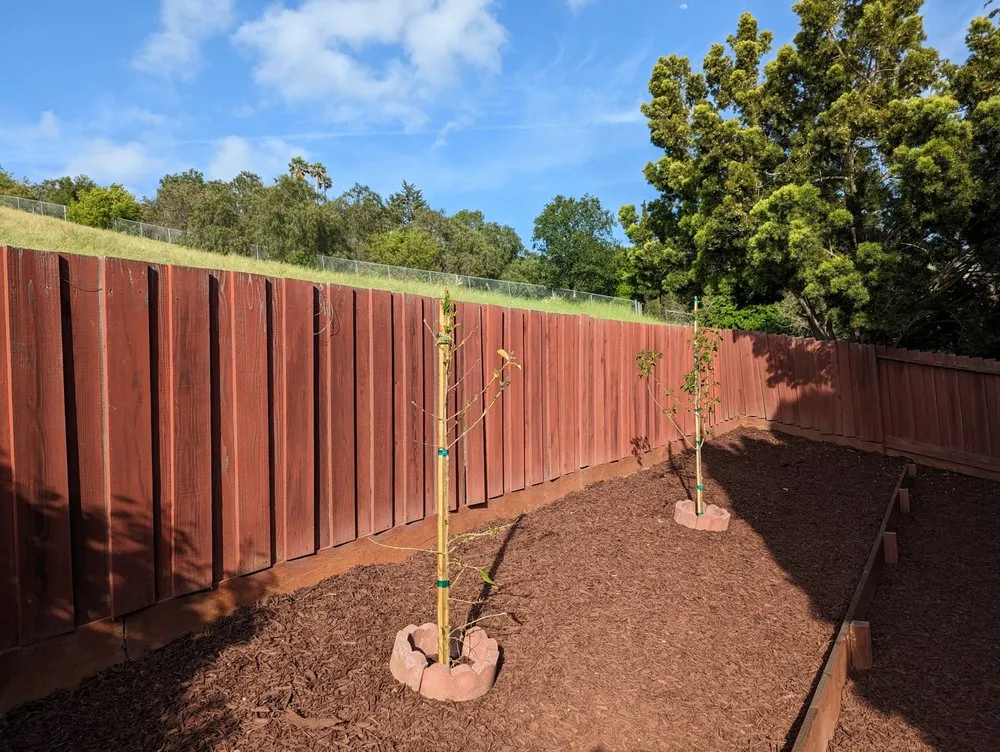 Top-rated lawn mowing service in Fremont, CA - Jessie Landscaping & Maintenance