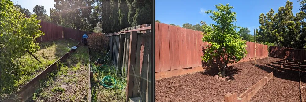 Top-rated landscaping services in Fremont, CA - Jessie Landscaping & Maintenance