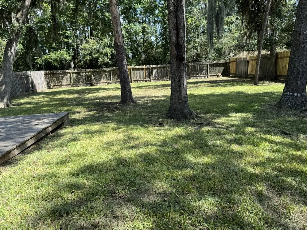 Professional yard maintenance experts serving Houston, TX - Jessie’s Landscaping Service