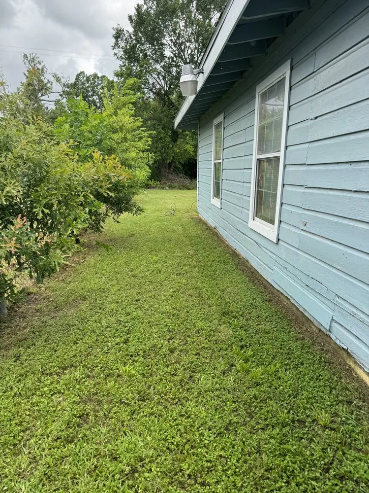 Reliable garden landscaping for year-round maintenance across Houston, TX - Jessie’s Landscaping Service