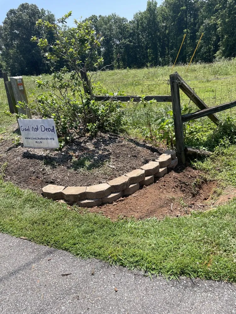 Local yard cleanup service in Siloam, NC by Jester Lawn & Land