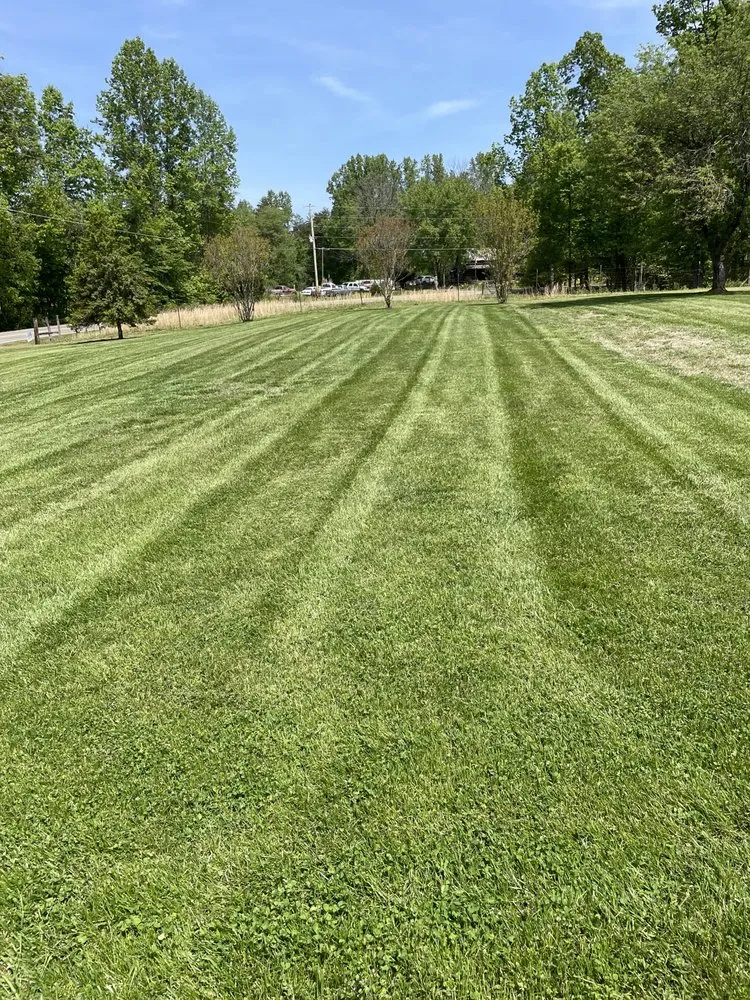 Custom lawn care service experts serving Siloam, NC - Jester Lawn & Land
