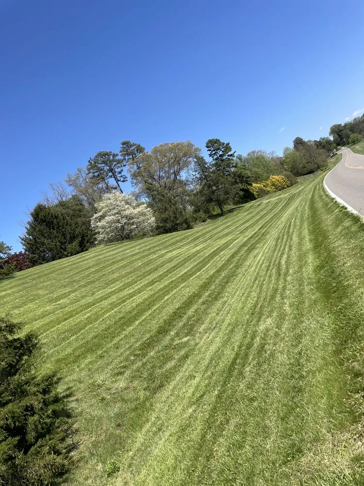 Professional landscape design experts serving Siloam, NC - Jester Lawn & Land