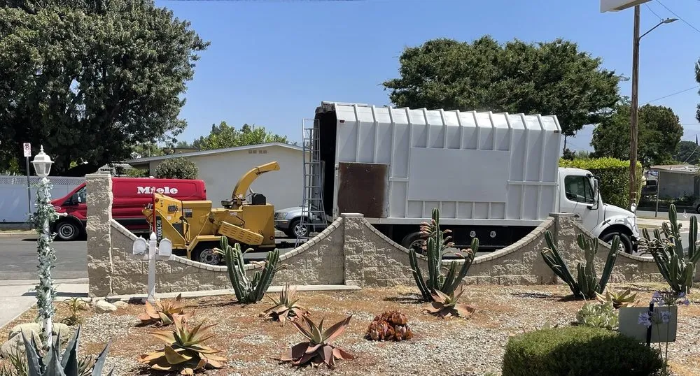 Affordable landscape installation in Los Angeles, CA by Jesus Acevedo's Tree Service & Landscaping