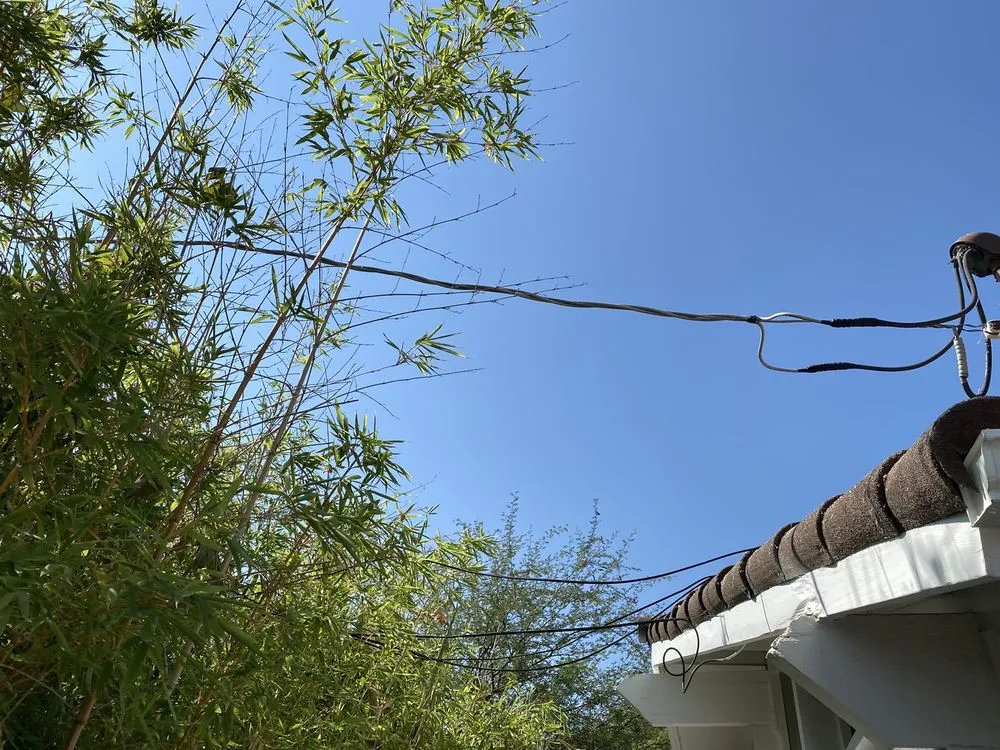Local residential landscaping in Los Angeles, CA by Jesus Acevedo's Tree Service & Landscaping
