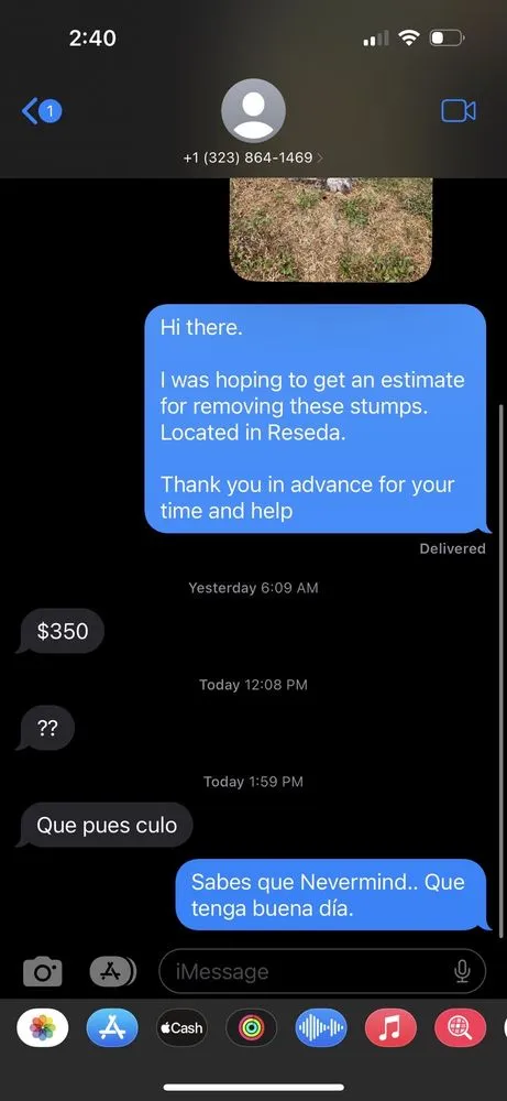 Custom landscape design in Los Angeles, CA by Jesus Acevedo's Tree Service & Landscaping