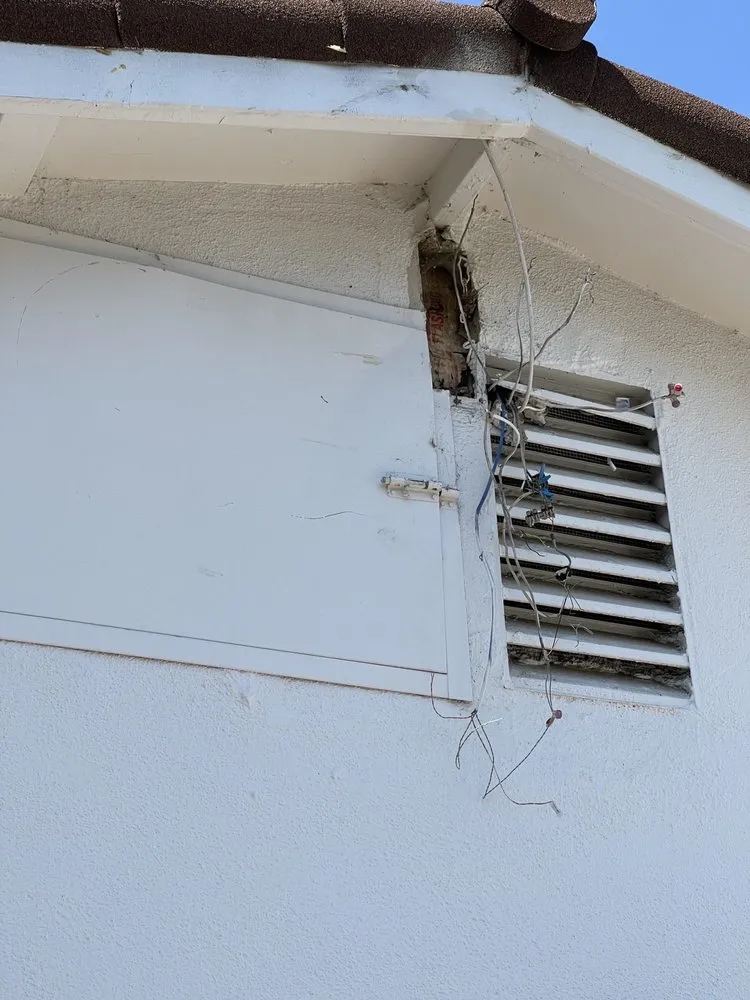 Expert landscape design in Los Angeles, CA - Jesus Acevedo's Tree Service & Landscaping