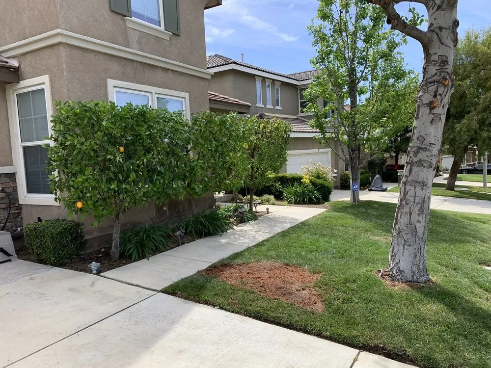 Trusted landscaping services with custom design across Los Angeles, CA - Jesus Acevedo's Tree Service & Landscaping