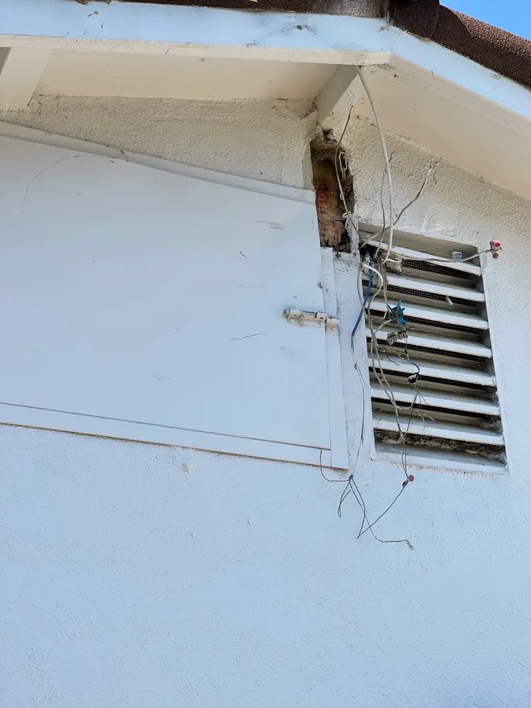 Affordable landscape design in Los Angeles, CA by Jesus Acevedo's Tree Service & Landscaping