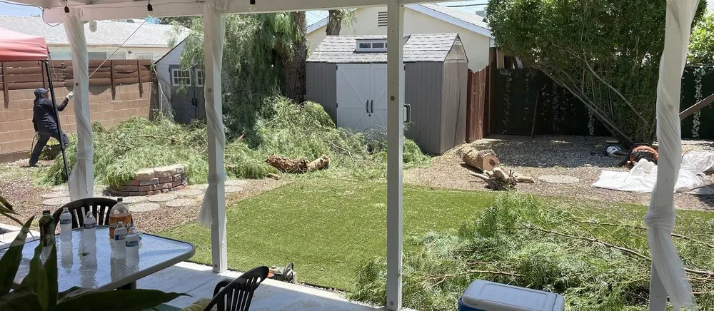 Expert residential landscaping experts serving Los Angeles, CA - Jesus Acevedo's Tree Service & Landscaping