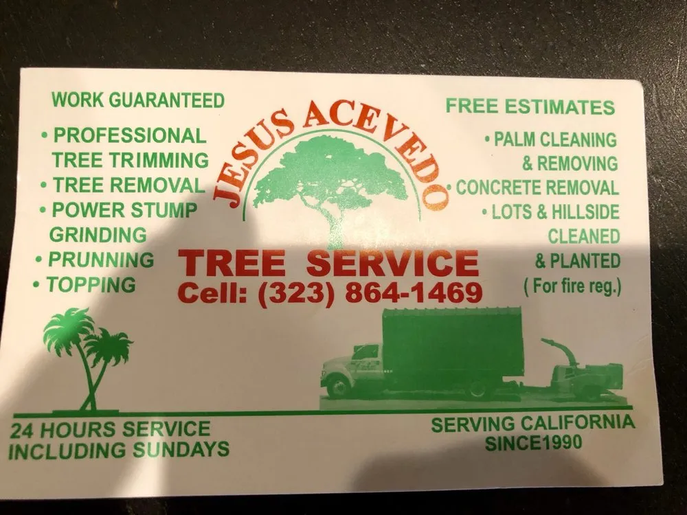 Professional yard maintenance in Los Angeles, CA - Jesus Acevedo's Tree Service & Landscaping