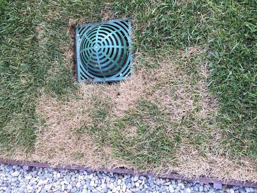 Top-rated lawn mowing service experts serving Los Angeles, CA - Jesus Acevedo's Tree Service & Landscaping