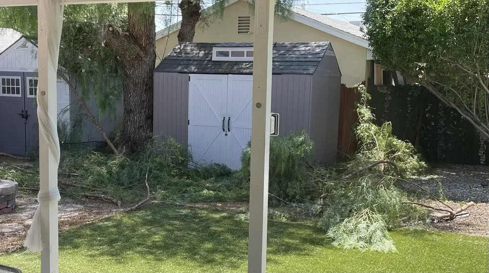 Affordable lawn mowing service experts serving Los Angeles, CA - Jesus Acevedo's Tree Service & Landscaping