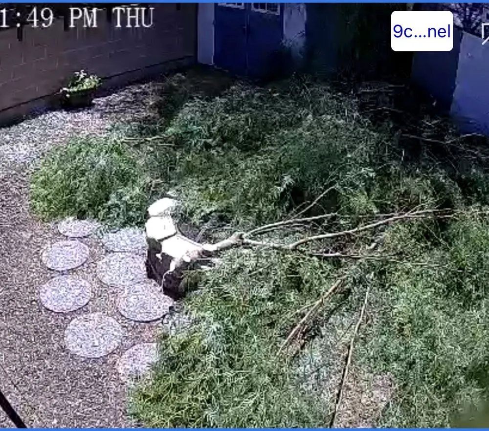 Professional residential landscaping near you across Los Angeles, CA - Jesus Acevedo's Tree Service & Landscaping