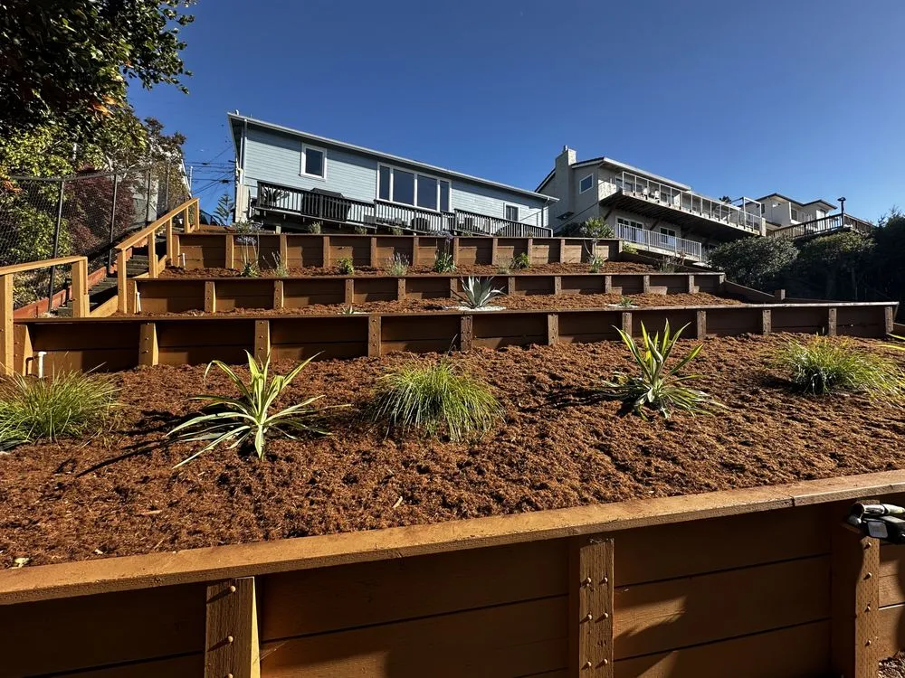 Professional residential landscaping experts serving San Mateo, CA - Jesus Alvarez Landscaping